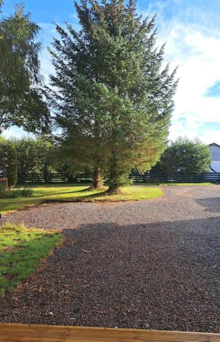 Little Slioch Cottage- A Break From City Life Avoch Exterior foto